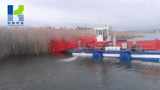 Schiumatoi per barche che puliscono i rifiuti galleggianti sulla superficie dell'acqua