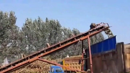 Frantoio cippatore per legno con tronco d'albero a biomassa con motore Siemens da 20 mm-40 mm
